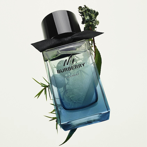 BURBERRY Mr. Burberry Element 150 #1