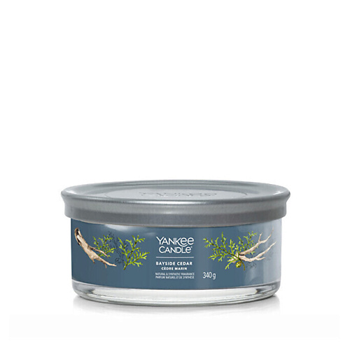 YANKEE CANDLE Ароматическая свеча Bayside Cedar 340 #1