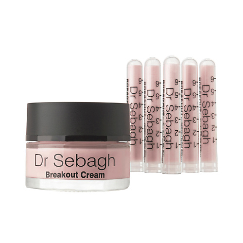 DR SEBAGH Комплекс для жирной кожи и кожи с акне Antibacterial Powder + Breakout Cream 6 #1