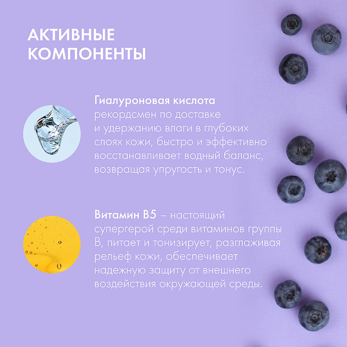 NATURA SIBERICA Тоник-мист для лица "Увлажняющий" Blueberry Siberica 100 #1