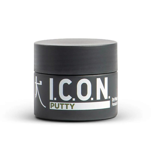 I.C.O.N. Помада для стайлинга PUTTY Pomade 60 #1