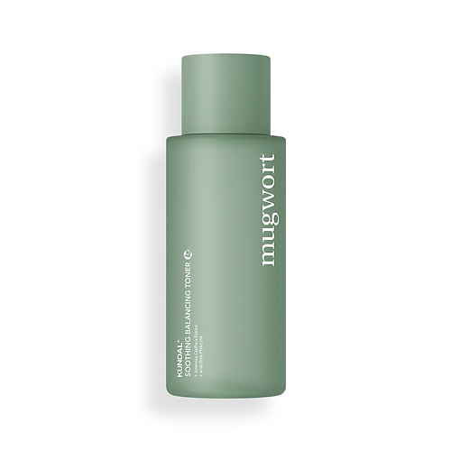 KUNDAL Тонер для лица успокаивающий с полынью Mugwort Skin Care 200 #1