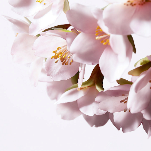 SHISEIDO Осветляющая сыворотка против пигментных пятен White Lucent 30 #1