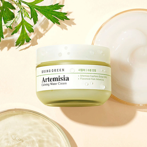 BRING GREEN Крем для лица успокаивающий на водной основе с полынью Artemisia Calming Water Cream 75 #1