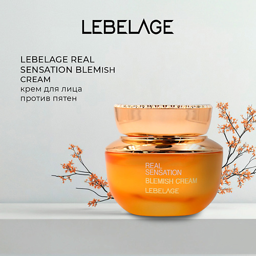 LEBELAGE Крем от пигментных пятен REAL SENSATION BLEMISH CREAM 50 #1