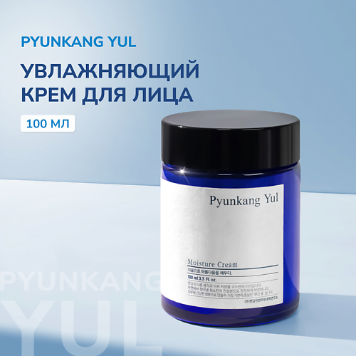 PYUNKANG YUL Увлажняющий крем для лица 100 #1