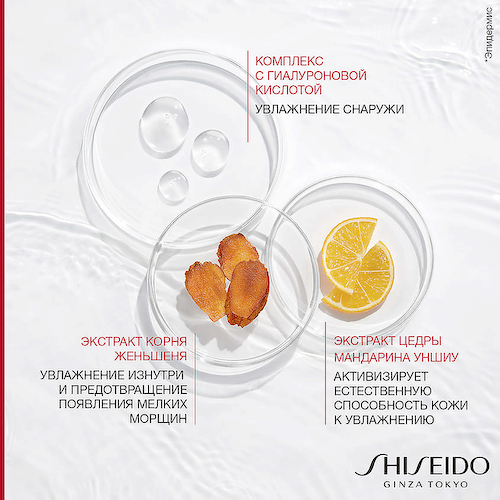 SHISEIDO Увлажняющий крем Essential Energy 50 #1