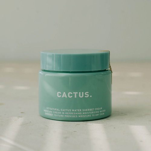 SO NATURAL Освежающий крем Cactus Water Sherbet Cream 80 #1