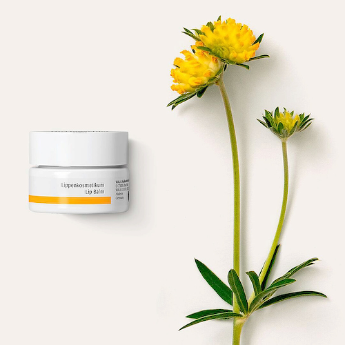 DR. HAUSCHKA Бальзам для губ Lippenkosmetikum Lip Balm #1