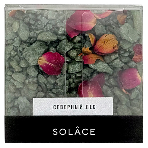 SOLACE Мерцающая соль для ванны "Северный лес" с шиммером и сухоцветами 150 #1