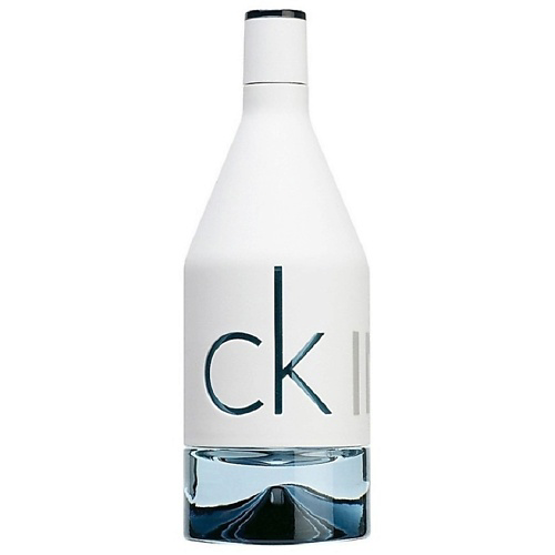 CALVIN KLEIN In2U Men 50 #1