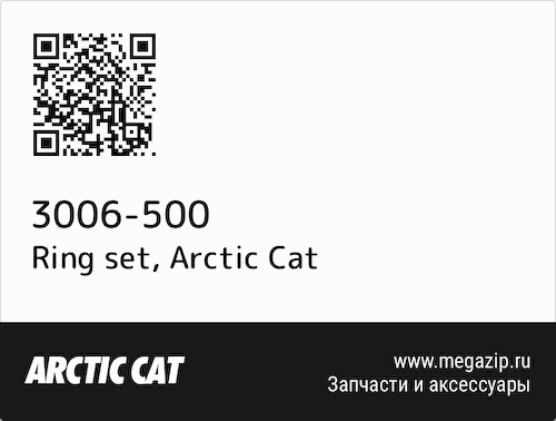 Ring set Arctic Cat 3006-500 #1