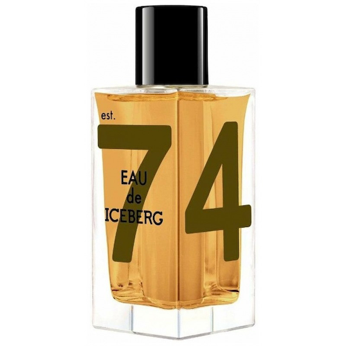 Eau de Iceberg Amber #1