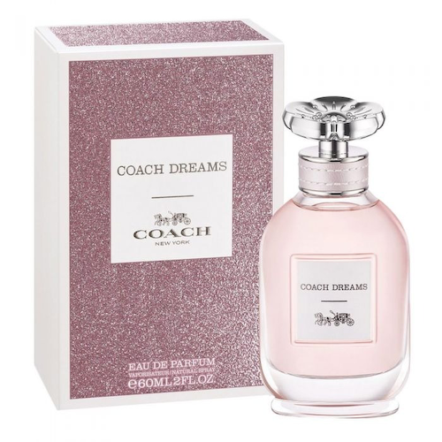 Coach Dreams #1