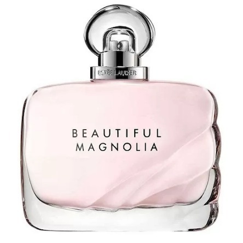 Beautiful Magnolia #1