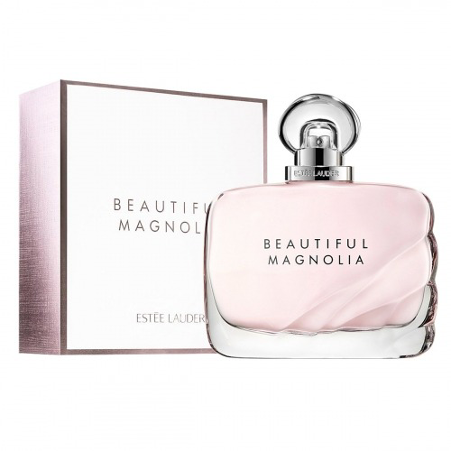 Beautiful Magnolia #1