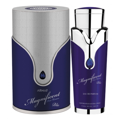 Magnificent Blue Pour Homme #1